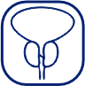 Prostate Screening