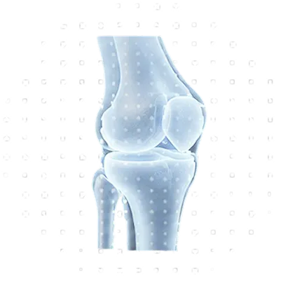 Bone Health Check Up